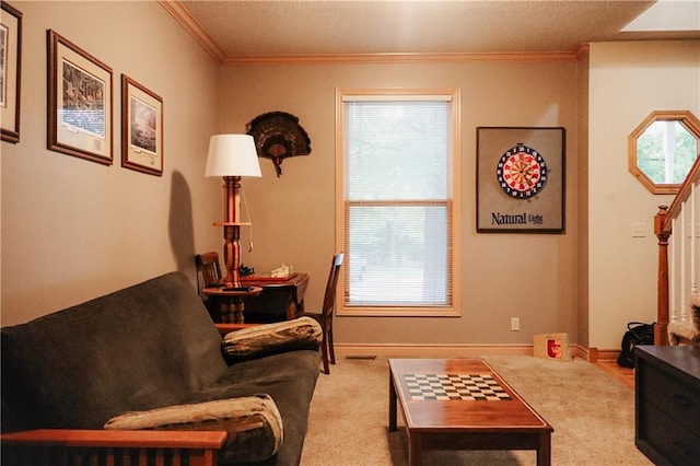 11669 S Parkwood Dr, Olathe, KS 66061 - carpeted living area with crown molding, healthy amount of natural light, and a textured ceiling