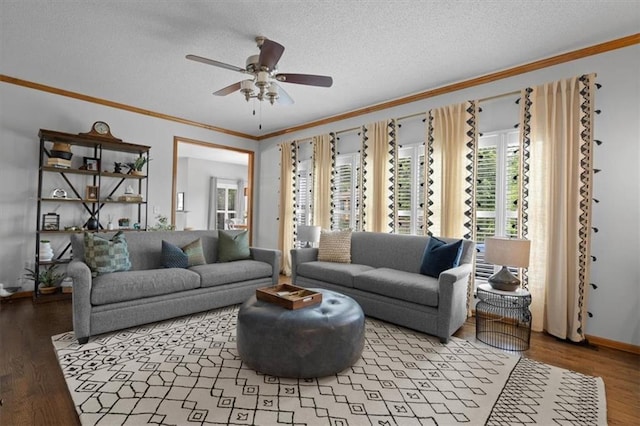 12499 S Marion St, Olathe, KS 66061 - living room featuring ornamental molding, wood finished floors, a ceiling fan, and a textured ceiling