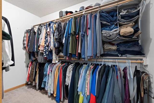 12499 S Marion St, Olathe, KS 66061 - walk in closet with carpet floors