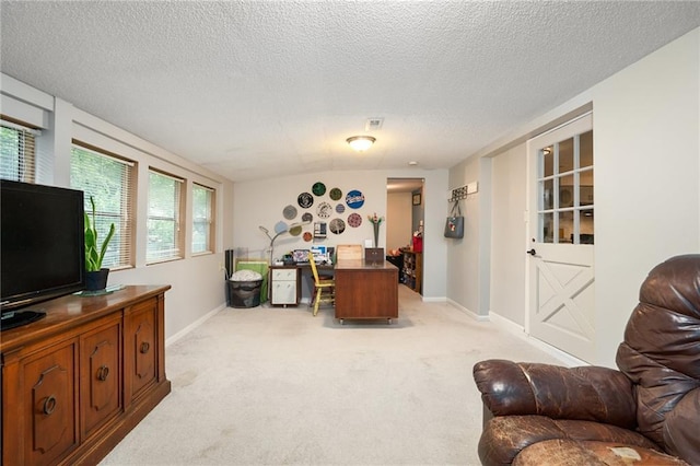 118 Village St, Tonganoxie, KS 66086 - home office with light carpet and a textured ceiling