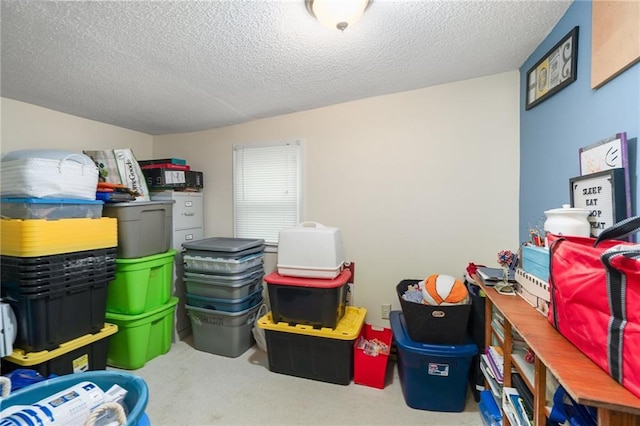 118 Village St, Tonganoxie, KS 66086 - view of storage area