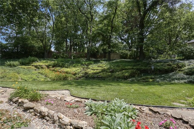 9505 Wyandotte St, Kansas City, MO 64114 - photo 21