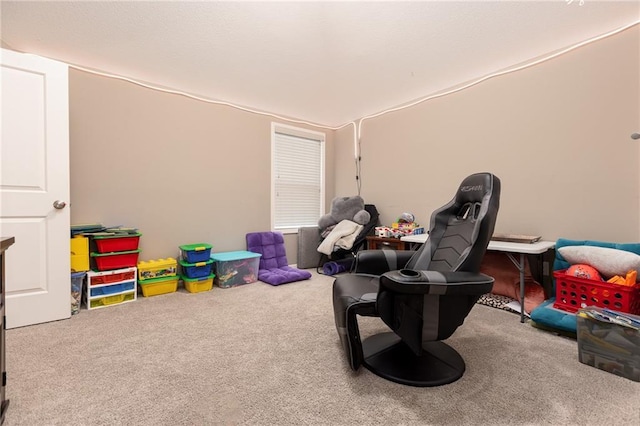 9408 N Liberty St, Kansas City, MO 64155 - photo 29