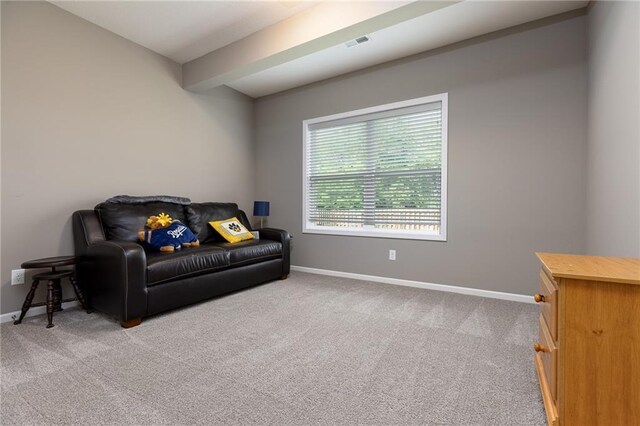9408 N Liberty St, Kansas City, MO 64155 - photo 33
