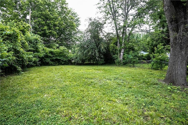 531 S Cedar Ave, Independence, MO 64053 - view of yard