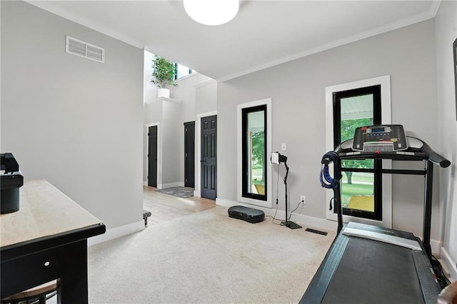 15376 Loring Rd, Bonner Springs, KS 66012 - workout room with carpet and crown molding