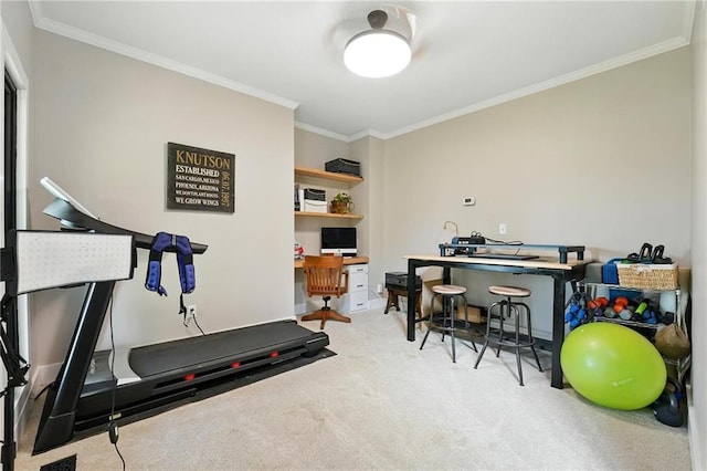 15376 Loring Rd, Bonner Springs, KS 66012 - exercise room featuring ornamental molding and carpet