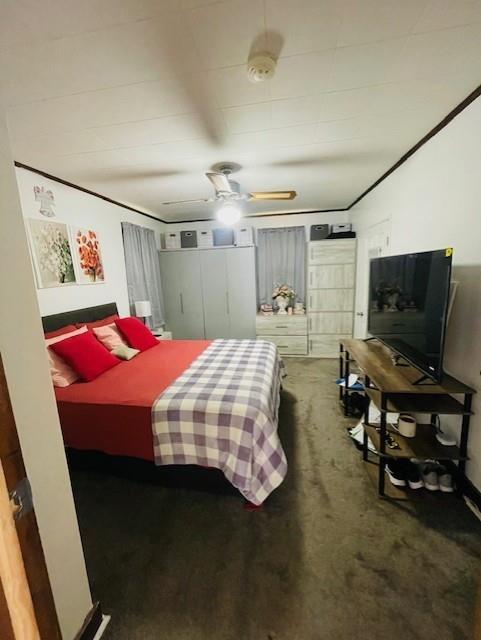 3119 Seneca St, Saint Joseph, MO 64507 - bedroom featuring a ceiling fan and carpet floors