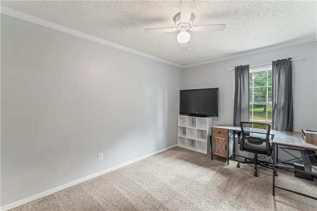 1275 NE Tudor Rd, Lees Summit, MO 64086 - home office with a textured ceiling, carpet flooring, crown molding, and a ceiling fan