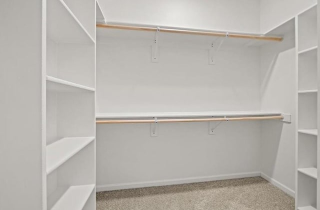 210 S Devin St, Lone Jack, MO 64070 - walk in closet with carpet flooring