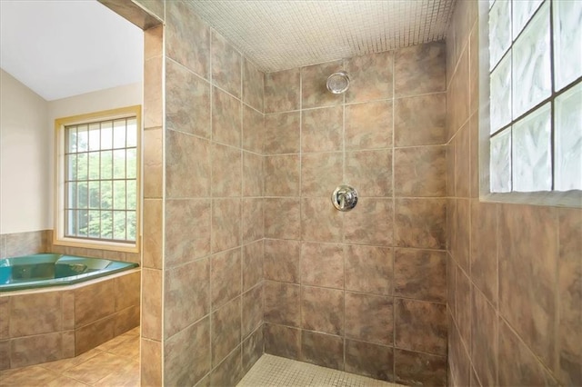245 SW 400th Rd, Warrensburg, MO 64093 - bathroom with a walk in shower and a bath