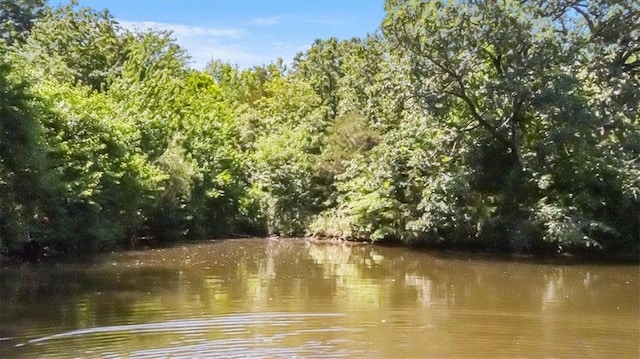 245 SW 400th Rd, Warrensburg, MO 64093 - water view with a forest