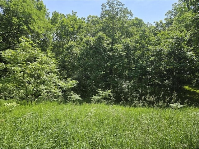 18916 166th St, Basehor, KS 66007 - view of tree filled area