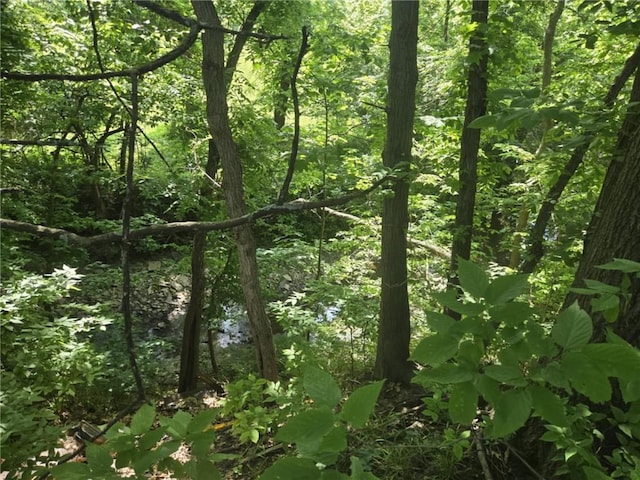 18916 166th St, Basehor, KS 66007 - view of wooded area