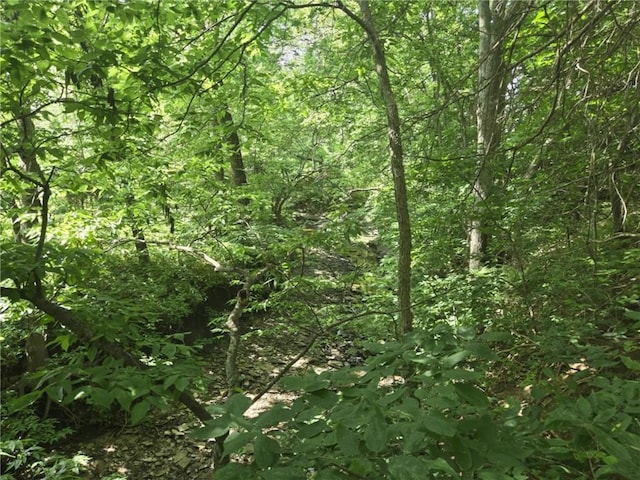 18916 166th St, Basehor, KS 66007 - view of tree filled area