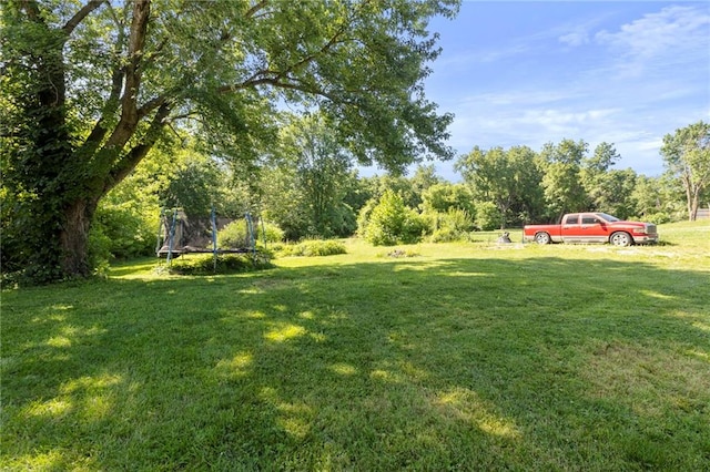 5525 NE Meadowbrook Rd, Kansas City, MO 64119 - view of grassy yard featuring a trampoline
