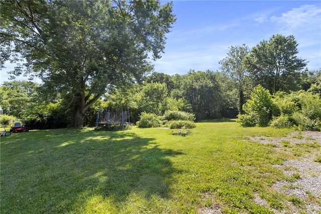 5525 NE Meadowbrook Rd, Kansas City, MO 64119 - view of grassy yard featuring a trampoline