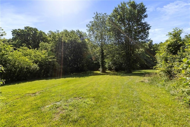 5525 NE Meadowbrook Rd, Kansas City, MO 64119 - view of grassy yard with a wooded view