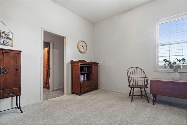 16728 Birch St, Overland Park, KS 66085 - photo 53