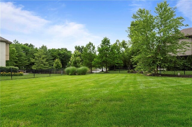 16728 Birch St, Overland Park, KS 66085 - photo 79