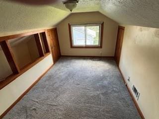 114 S Appleton St, Sugar Creek, MO 64054 - additional living space featuring carpet floors, vaulted ceiling, and a textured ceiling