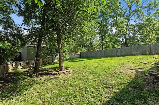 6963 N Atkins Ave, Kansas City, MO 64152 - photo 33