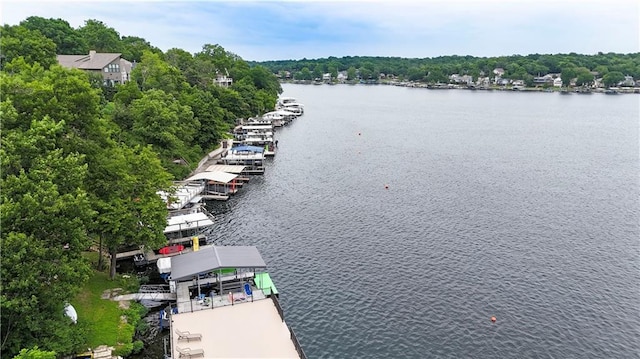 3 M St, Lake Lotawana, MO 64086 - water view featuring a boat dock