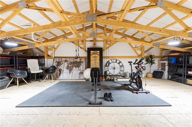 1372 N 150th Rd, Baldwin City, KS 66006 - exercise room featuring lofted ceiling