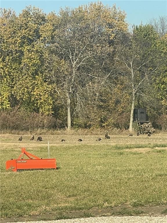 1372 N 150th Rd, Baldwin City, KS 66006 - view of yard