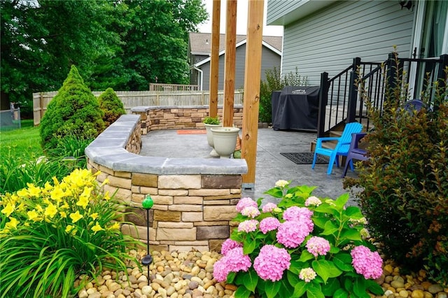 101 Shasta Daisy Dr, Smithville, MO 64089 - view of patio / terrace with a grill