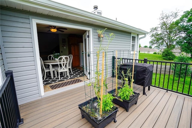 101 Shasta Daisy Dr, Smithville, MO 64089 - wooden terrace with grilling area