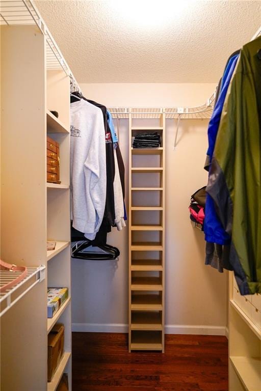 101 Shasta Daisy Dr, Smithville, MO 64089 - walk in closet with wood finished floors