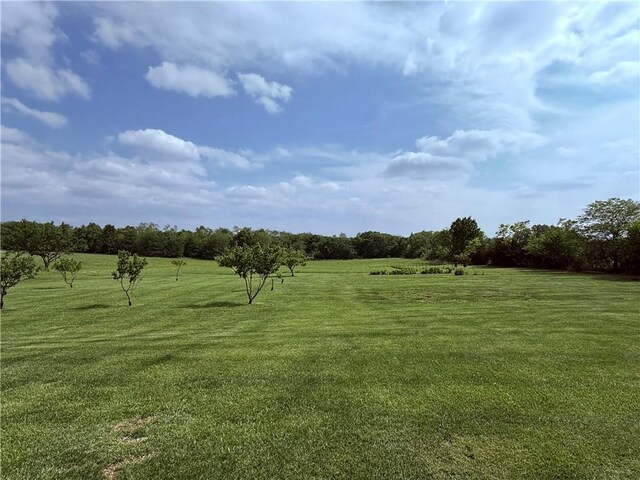 12720 Oval Ave, Winston, MO 64689 - photo 9