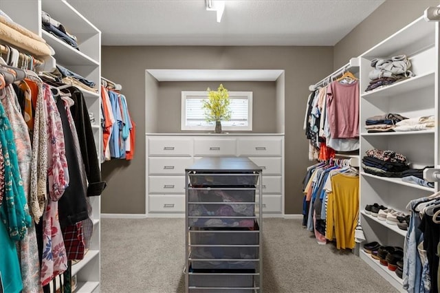 5814 Aminda St, Shawnee, KS 66226 - spacious closet with carpet