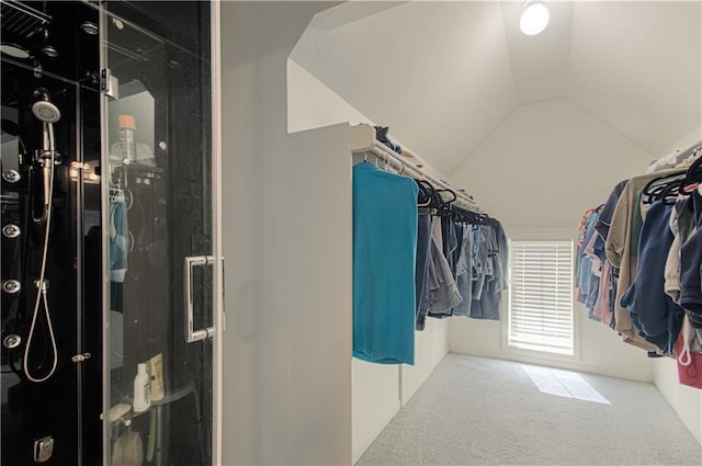 9624 N Arlington Ave, Kansas City, MO 64158 - walk in closet with vaulted ceiling and carpet floors