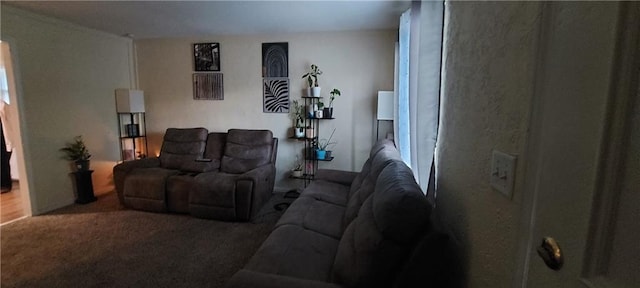 1431-33 E Penrose Ln, Olathe, KS 66062 - view of carpeted living room