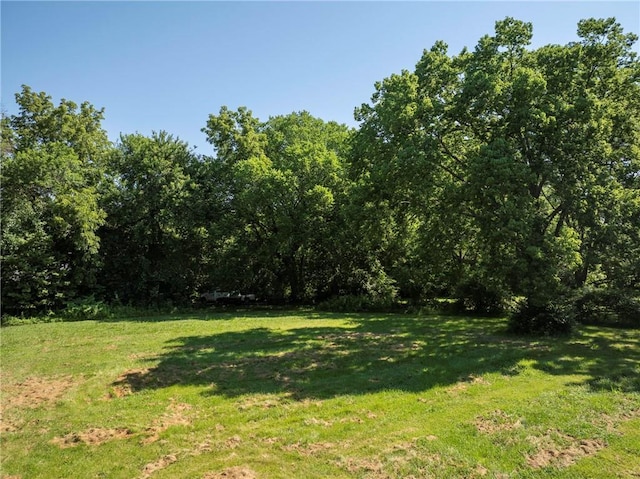 1934 E Mechanic Ave, Independence, MO 64050 - view of green lawn