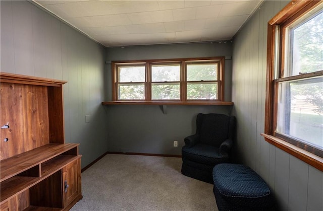 1610 N 3rd St, Neodesha, KS 66757 - sitting room with carpet flooring and wooden walls