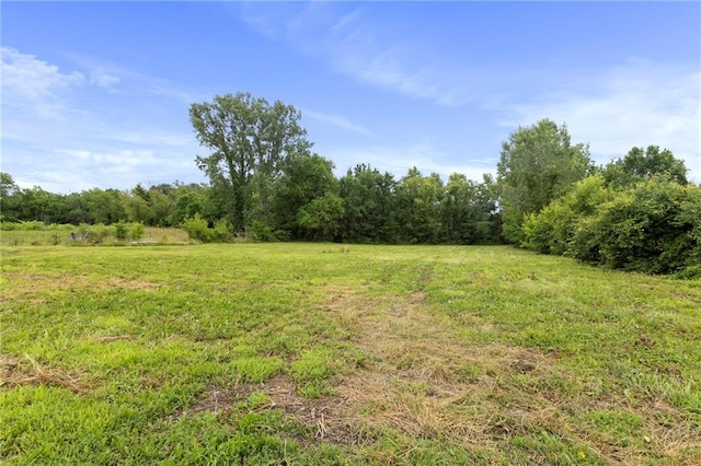 4901 E 215th St, Belton, MO 64012 - view of yard with a forest view