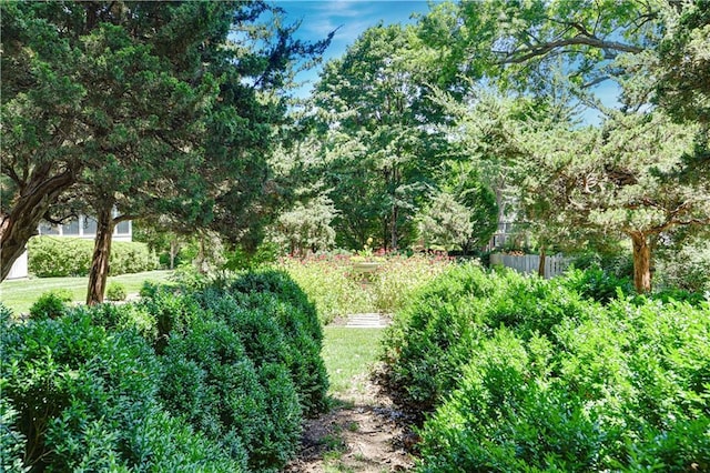 4912 W 69th St, Prairie Village, KS 66208 - view of nature