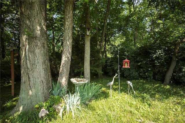 1128 N Old Mill Rd, Independence, MO 64056 - photo 47