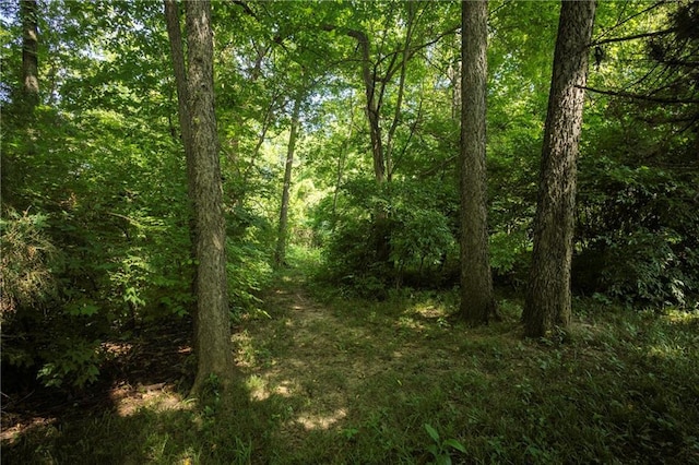 1128 N Old Mill Rd, Independence, MO 64056 - photo 48