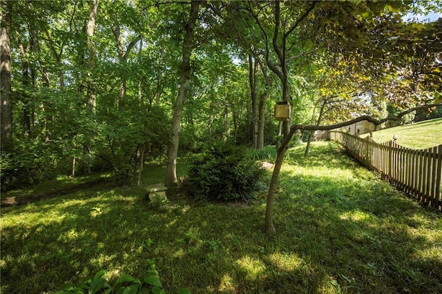 1128 N Old Mill Rd, Independence, MO 64056 - photo 52