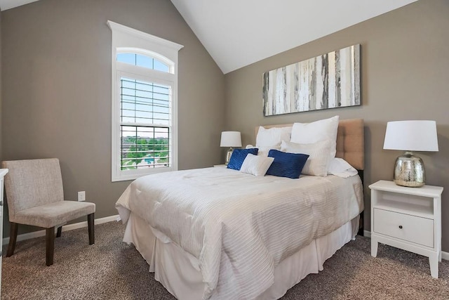 15801 Canterbury St, Overland Park, KS 66224 - bedroom with dark carpet, multiple windows, and high vaulted ceiling