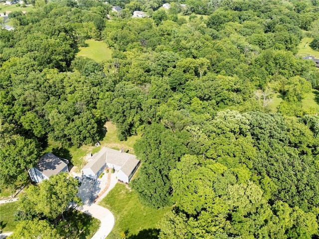 4813 NW Northwood Rd, Riverside, MO 64150 - drone / aerial view of a forest