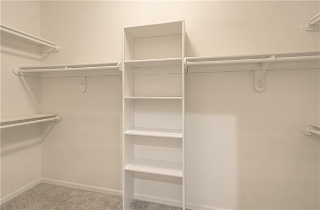 6306 W 128th St, Overland Park, KS 66209 - walk in closet with carpet floors