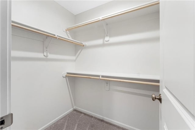 15837 El Monte St, Overland Park, KS 66224 - walk in closet with carpet floors