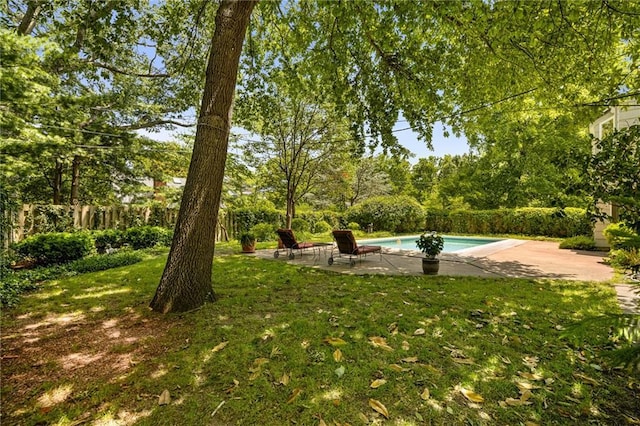 6451 Sagamore Rd, Mission Hills, KS 66208 - view of yard featuring a patio and view of wooded area