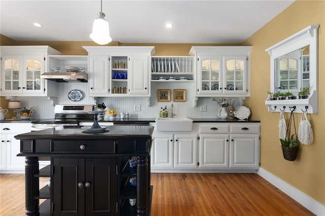 533 S Water St, Olathe, KS 66061 - kitchen with stainless steel range with electric cooktop, dark cabinets, open shelves, white cabinetry, and recessed lighting