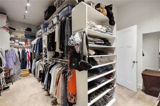 11717 S Barth Rd, Olathe, KS 66061 - walk in closet with carpet flooring